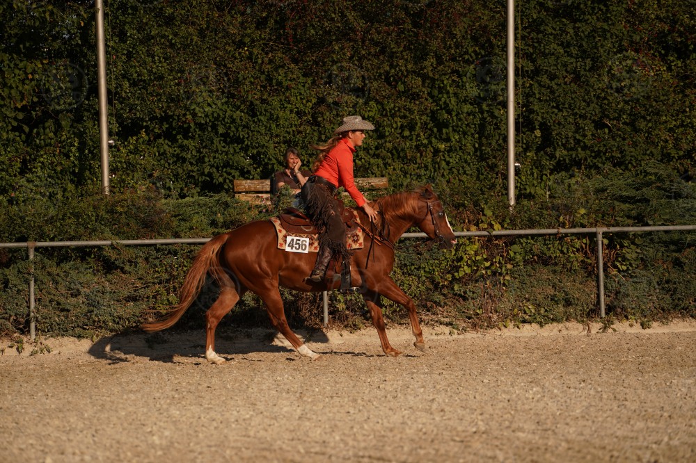 s_A_906798.JPG